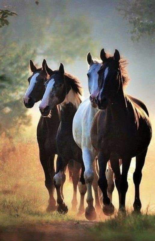 profile-170860 Profile Picture