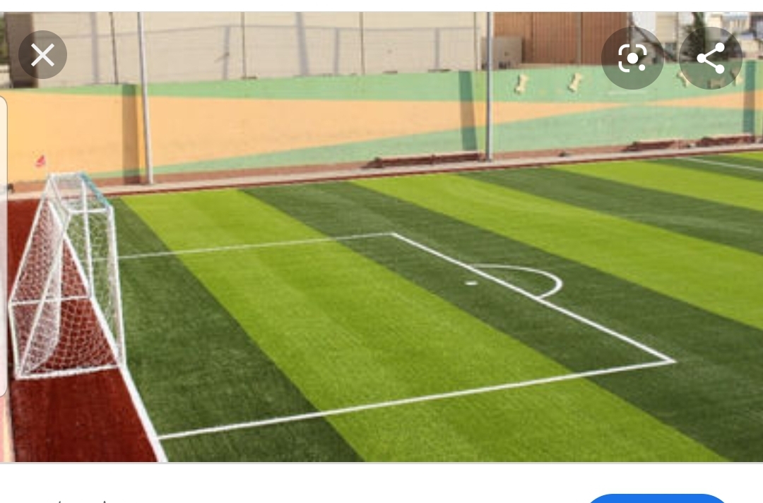 saoudsaleh Profile Picture