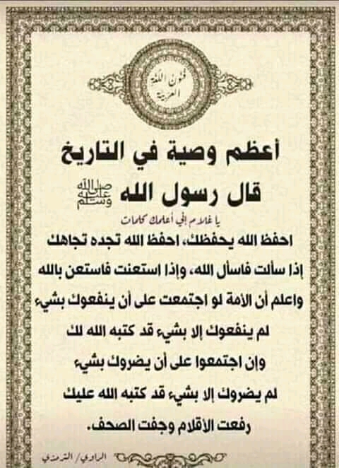 mehamed Profile Picture