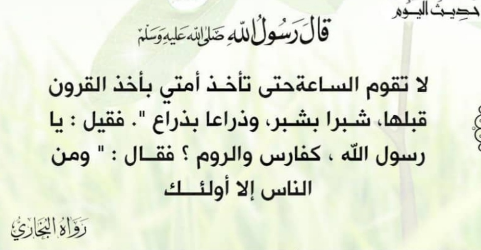 Mohamedkhrase Profile Picture