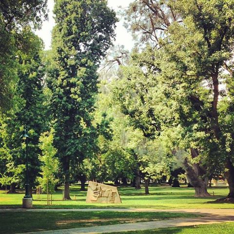 profile-232566 Profile Picture