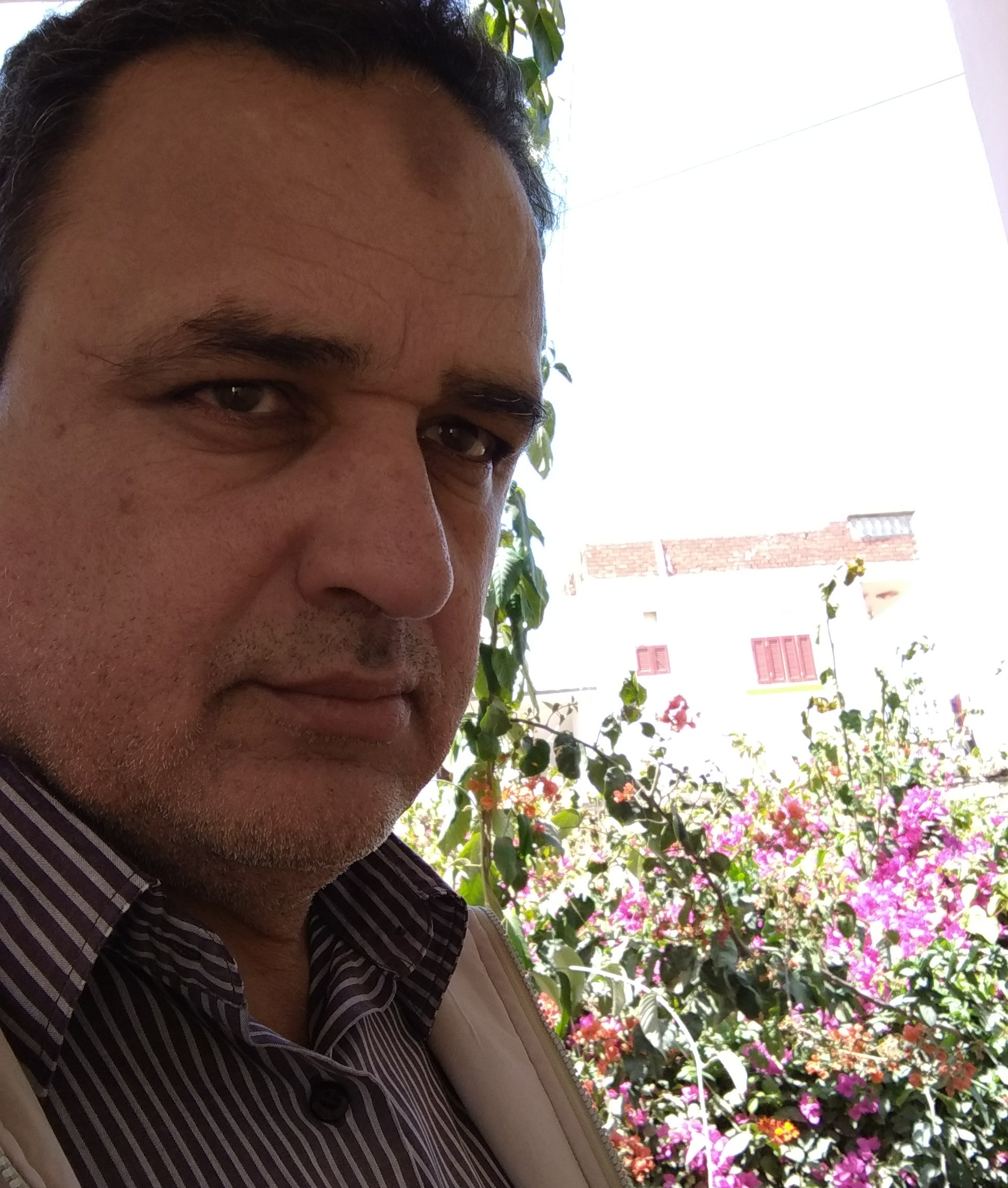 fawzy1965 Profile Picture