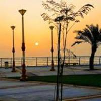 dc5a69195 Profile Picture