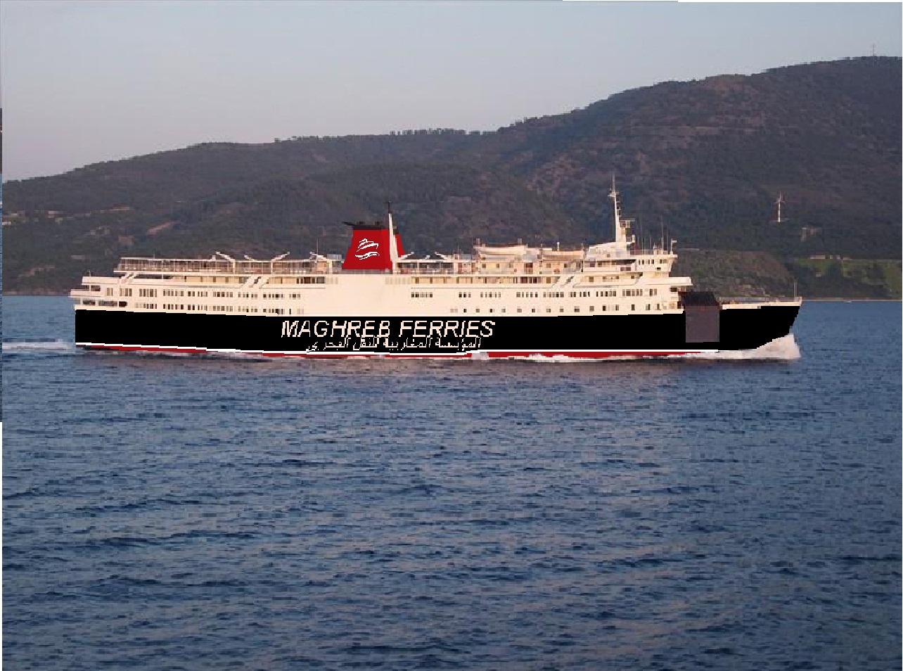 شركة نقل بحري مربحة بين اوروبا والمغرب العربي  Profile Picture