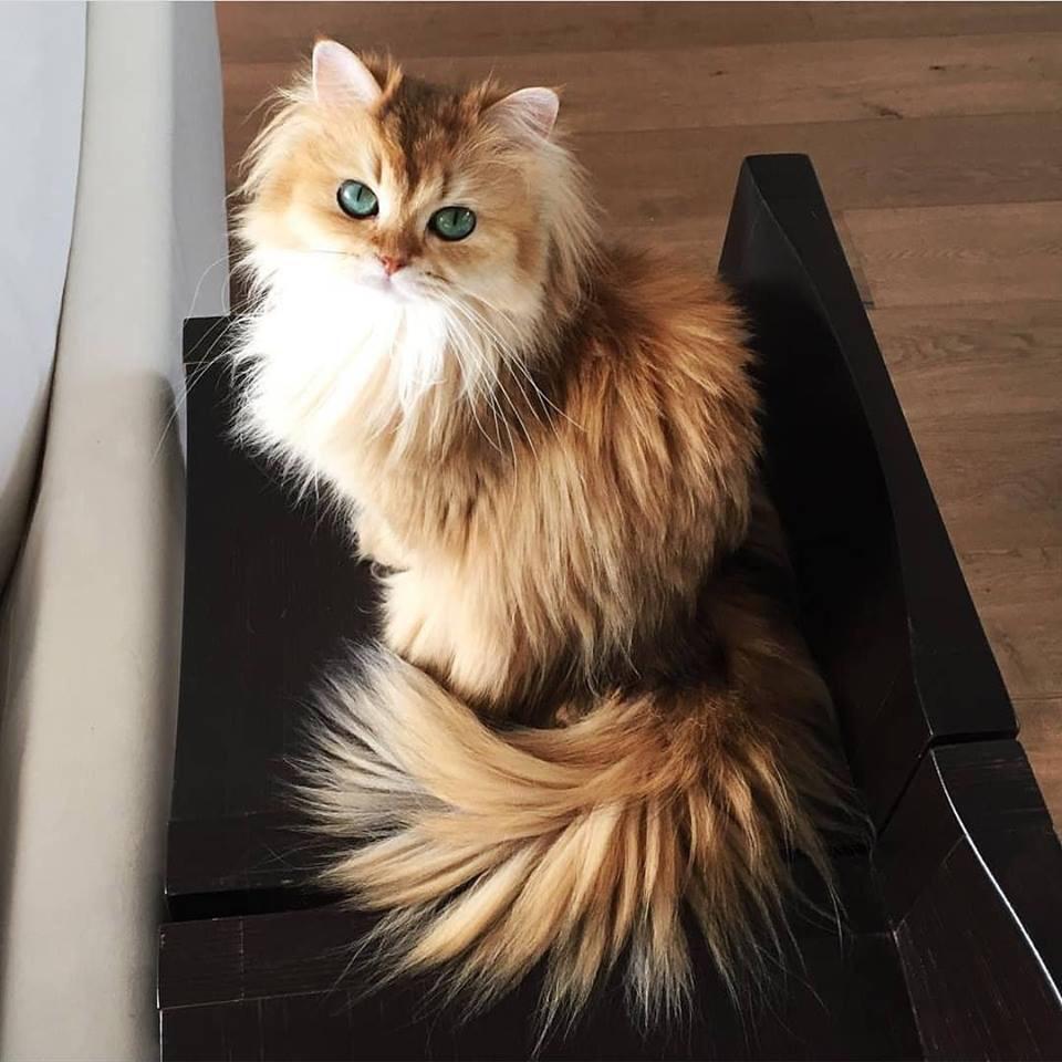 Mohamedabdalla Profile Picture