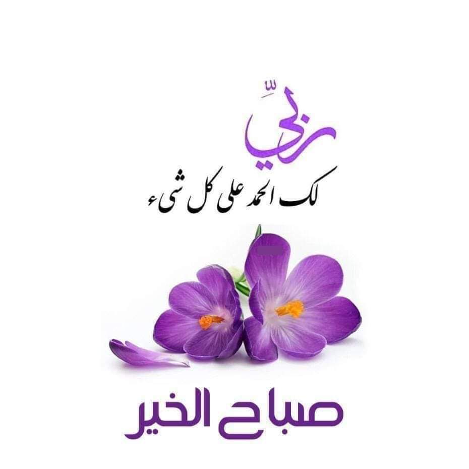 mohamedsamirzidan Profile Picture