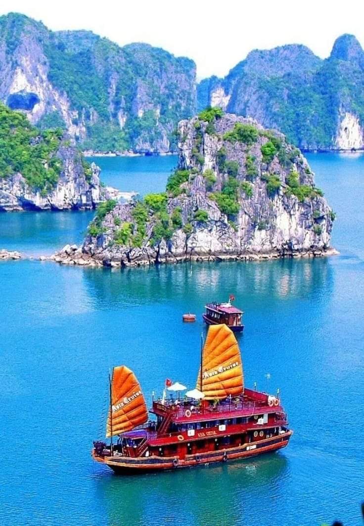 belelolo Profile Picture