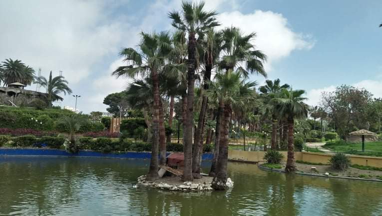 Yasminyaso777 Profile Picture