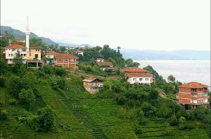 rafaayassermubarak Profile Picture