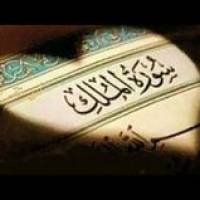 833b86a10 Profile Picture