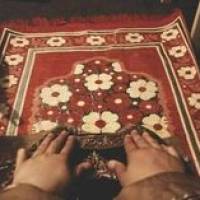 Omar Osama Profile Picture