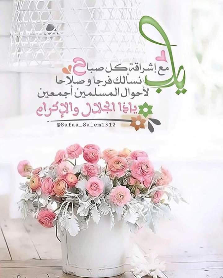 Sitanaahmed Profile Picture