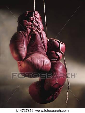 Bella Profile Picture