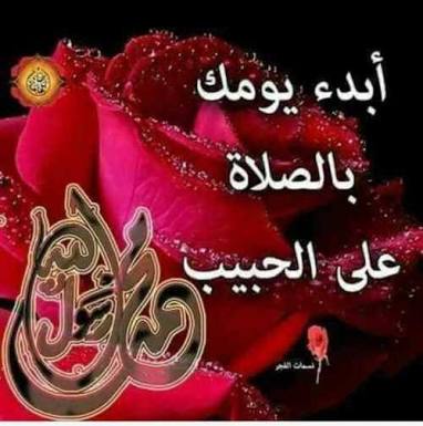 نور على Profile Picture