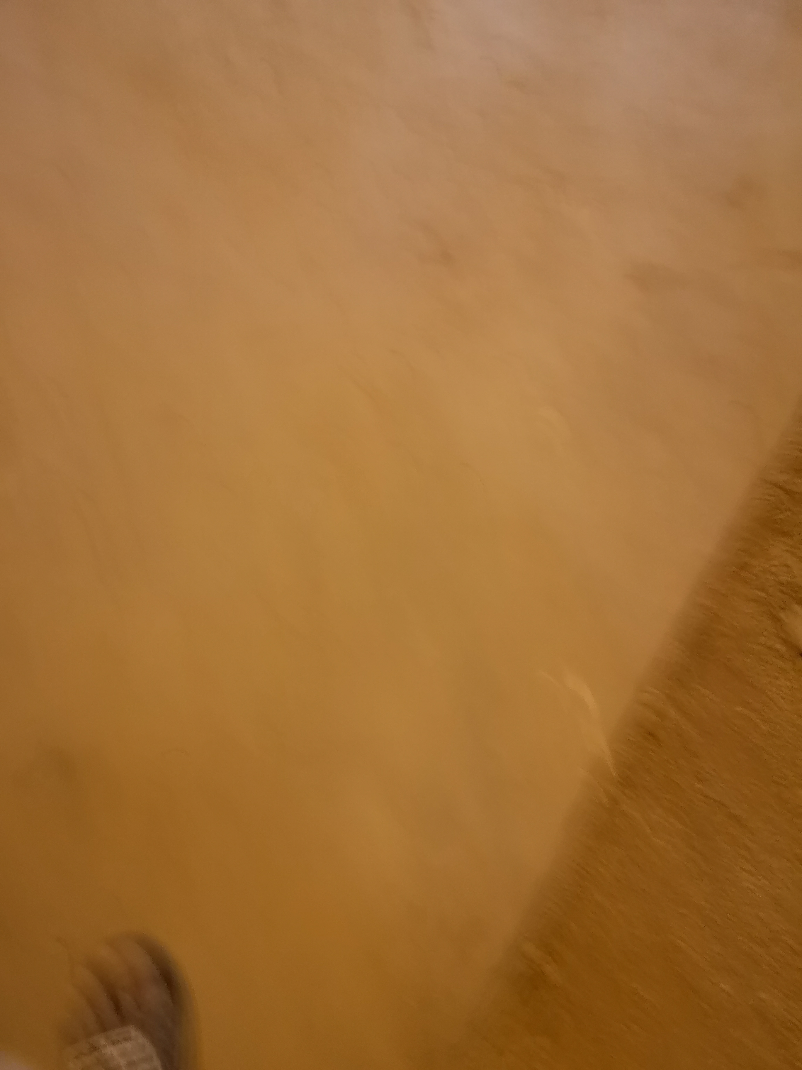 mohamedsalah98 Profile Picture