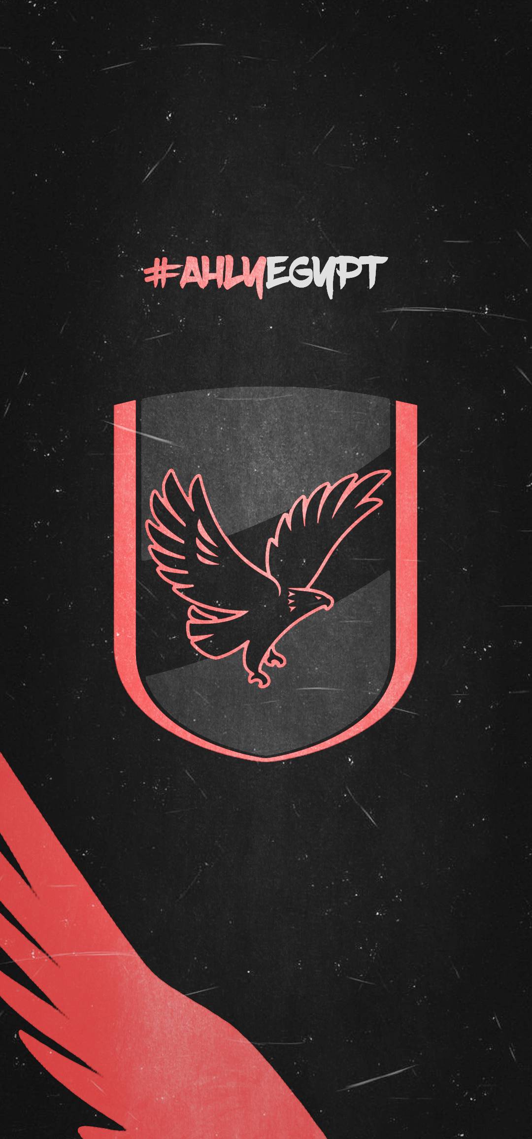 ahmdnor1363 Profile Picture