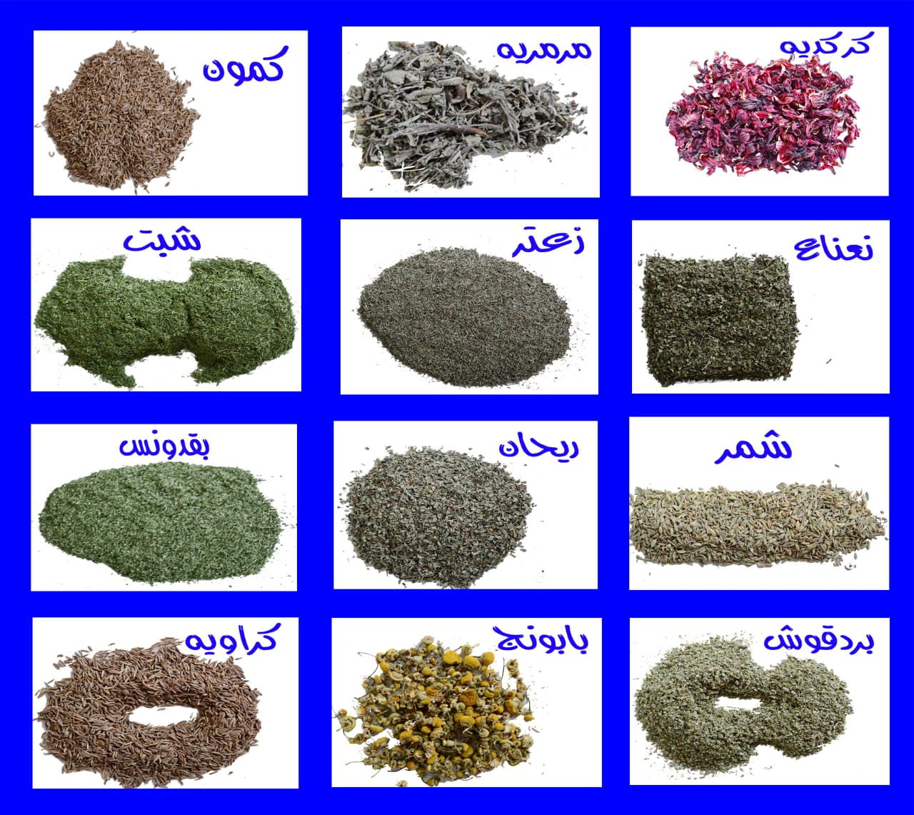 تجاره النباتات الطبية والعطريه Cover Image