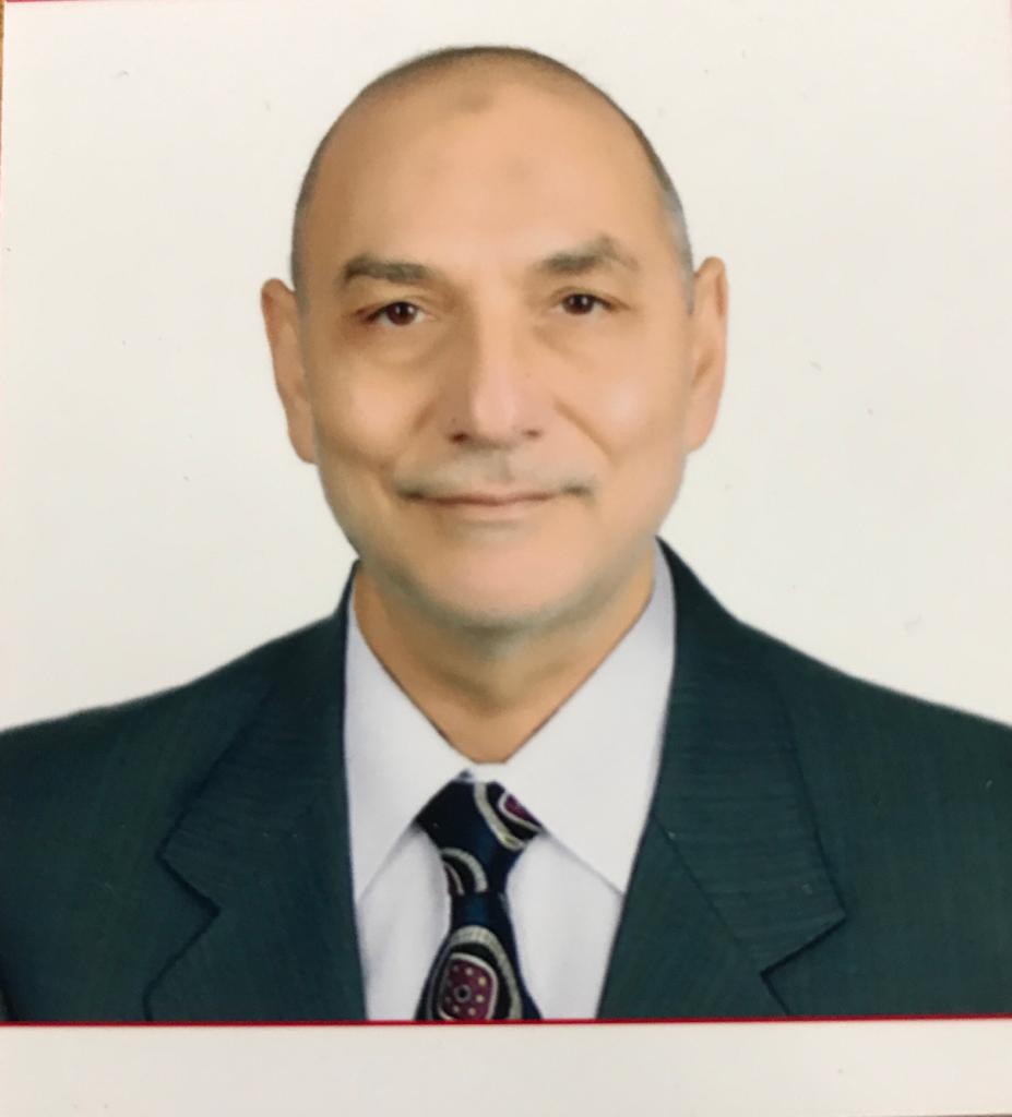 Adel Elgamal Profile Picture