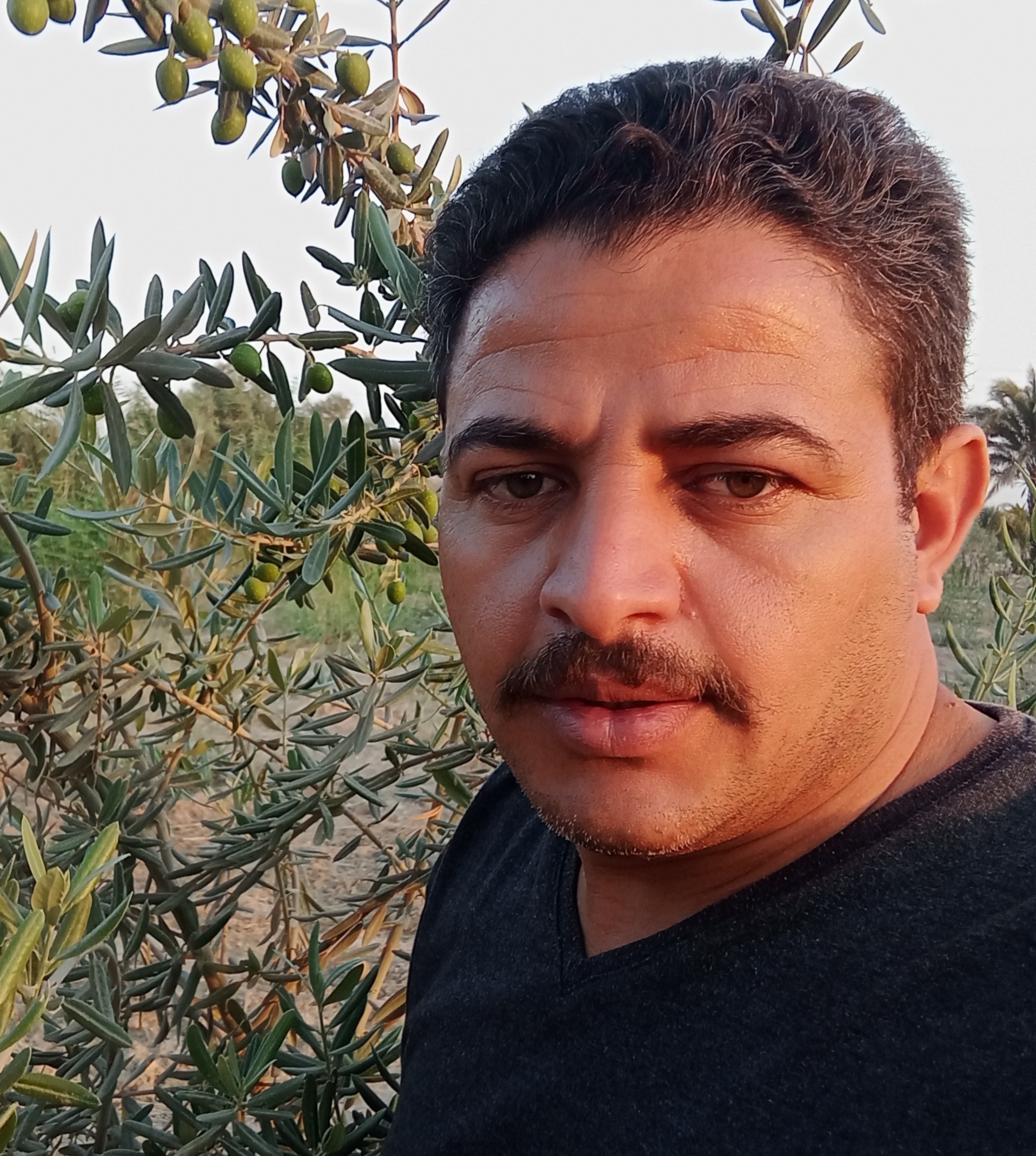 أحمد شحاته عيسوي profile picture