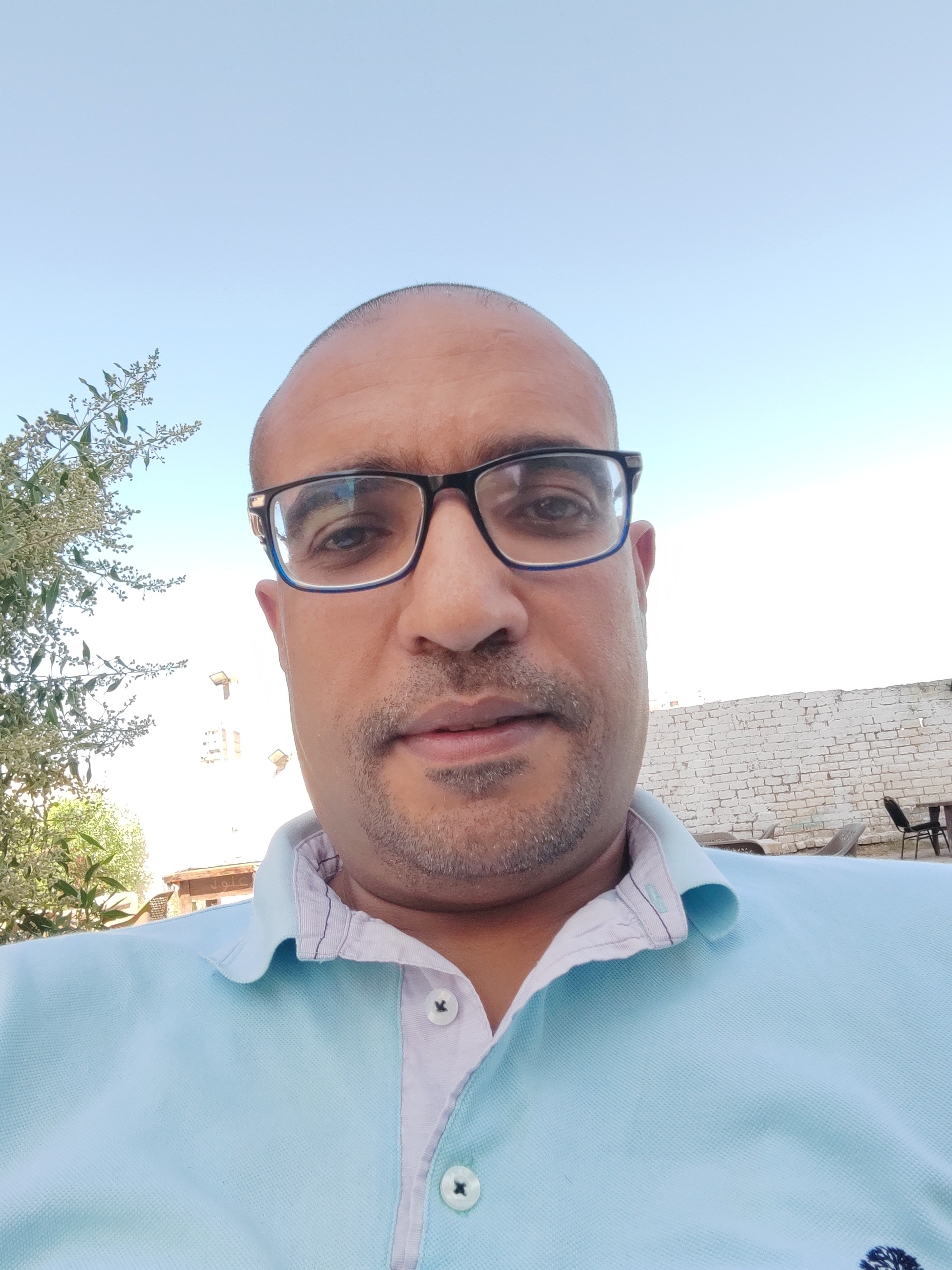 AlaaMahmoud Profile Picture
