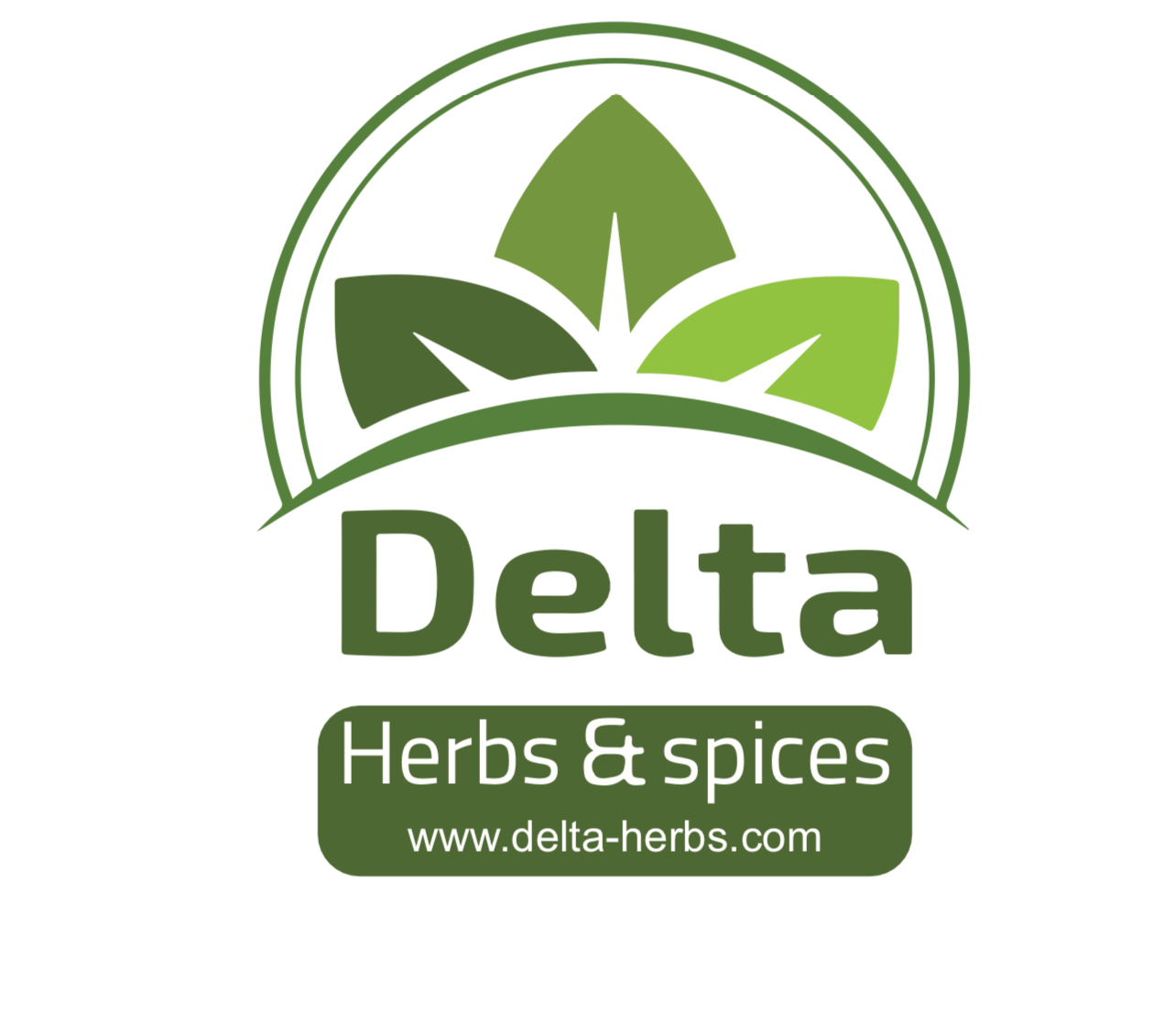 Deltaexports Profile Picture